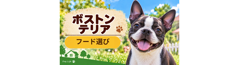ボストンテリアのドッグフードはどう選ぶ？年齢・体格・食べ方に合わせた選び方