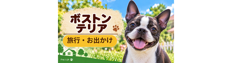 ボストンテリアと旅行するときの持ち物｜移動・宿泊で役立つ犬用品