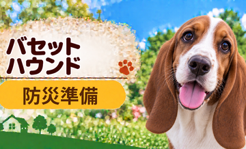バセットハウンドの防災準備｜避難時に必要な用品と持ち出しリスト