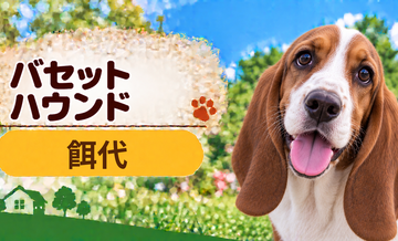 バセットハウンドの餌代は月いくら？体重からドッグフード代をシミュレーション