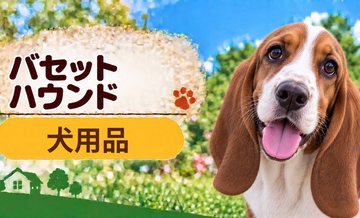 バセットハウンド向け犬用品の選び方｜ケージ・ベッド・ハーネスをまとめて確認