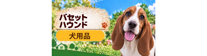 バセットハウンド向け犬用品の選び方｜ケージ・ベッド・ハーネスをまとめて確認