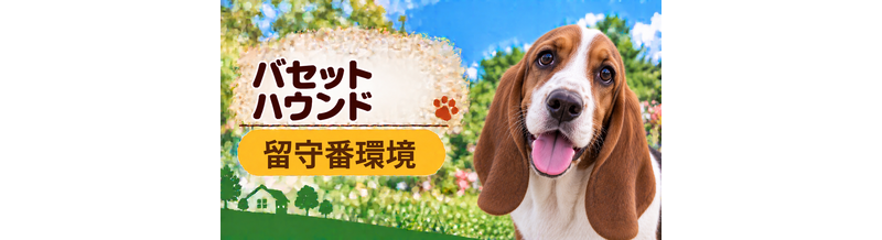 バセットハウンドの留守番環境を整える｜安全対策と便利グッズ