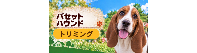 バセットハウンドのトリミング代はいくら？頻度と年間費用を計算