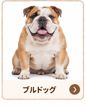 ブルドッグ