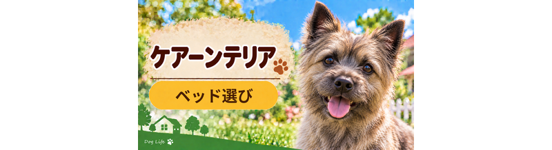 ケアーンテリアのベッド選び｜体格・季節・洗いやすさで比較