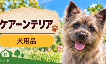 ケアーンテリア向け犬用品の選び方｜ケージ・ベッド・ハーネスをまとめて確認
