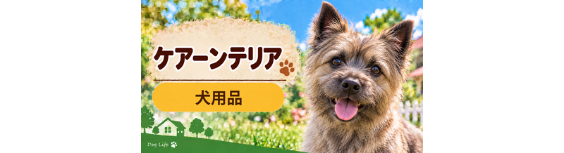 ケアーンテリア向け犬用品の選び方｜ケージ・ベッド・ハーネスをまとめて確認