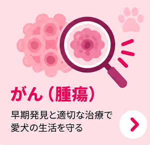 がん(腫瘍)