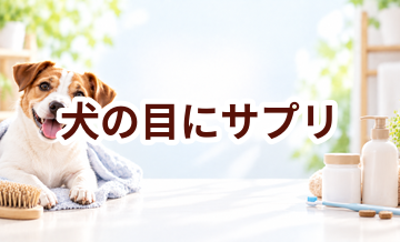 犬の目にサプリは必要？選ぶ前に知っておきたい考え方