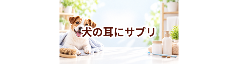 犬の耳にサプリは必要？選ぶ前に知っておきたい考え方