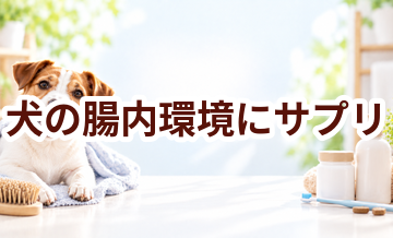 犬の腸内環境にサプリは必要？選ぶ前に知っておきたい考え方
