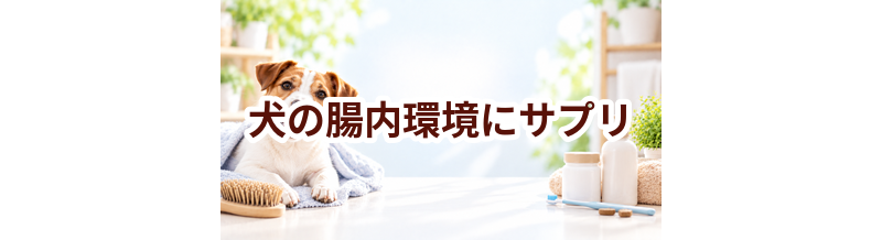 犬の腸内環境にサプリは必要？選ぶ前に知っておきたい考え方