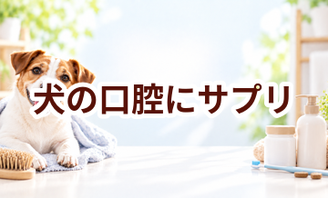 犬の口腔にサプリは必要？選ぶ前に知っておきたい考え方