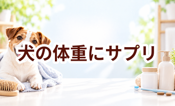 犬の体重にサプリは必要？選ぶ前に知っておきたい考え方