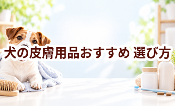 犬の皮膚用品おすすめの選び方｜失敗しないチェックポイント