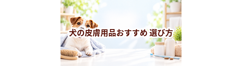 犬の皮膚用品おすすめの選び方｜失敗しないチェックポイント