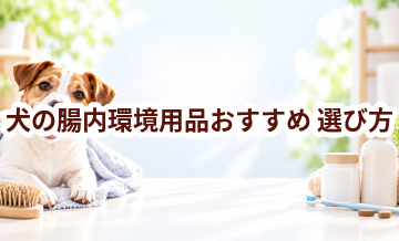 犬の腸内環境用品おすすめの選び方｜失敗しないチェックポイント