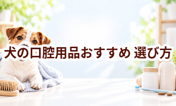 犬の口腔用品おすすめの選び方｜失敗しないチェックポイント