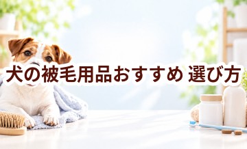 犬の被毛用品おすすめの選び方｜失敗しないチェックポイント