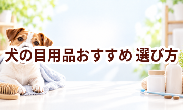 犬の目用品おすすめの選び方｜失敗しないチェックポイント
