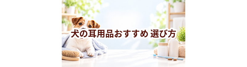 犬の耳用品おすすめの選び方｜失敗しないチェックポイント