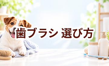 歯ブラシの選び方｜愛犬に合うものを選ぶチェックポイント