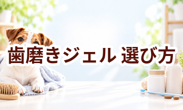歯磨きジェルの選び方｜愛犬に合うものを選ぶチェックポイント