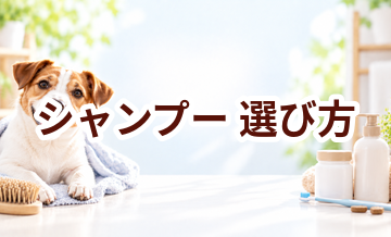 シャンプーの選び方｜愛犬に合うものを選ぶチェックポイント