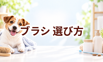 ブラシの選び方｜愛犬に合うものを選ぶチェックポイント