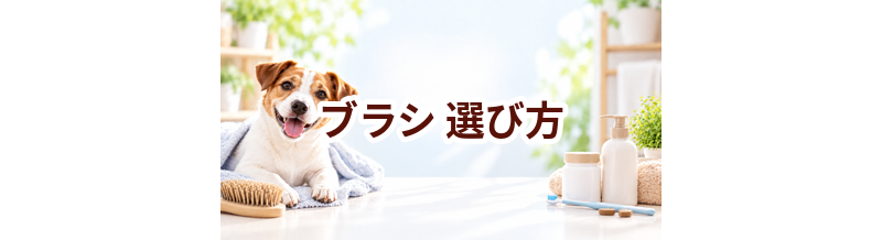 ブラシの選び方｜愛犬に合うものを選ぶチェックポイント
