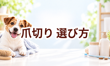 爪切りの選び方｜愛犬に合うものを選ぶチェックポイント