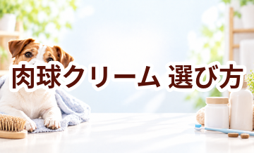 肉球クリームの選び方｜愛犬に合うものを選ぶチェックポイント