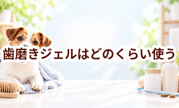 歯磨きジェルはどのくらい使う？頻度・使い方・費用を確認