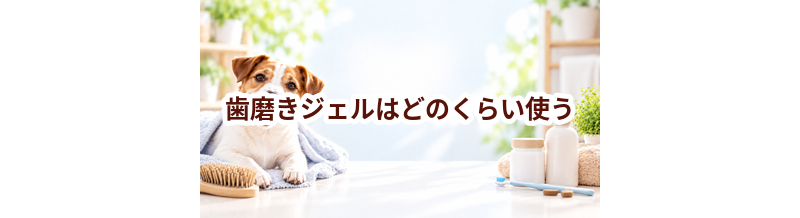 歯磨きジェルはどのくらい使う？頻度・使い方・費用を確認