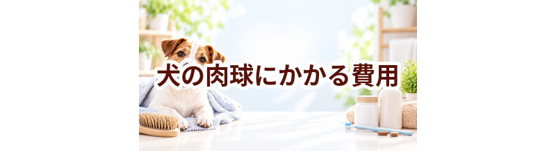 犬の肉球にかかる費用はいくら？毎月のケア代を整理