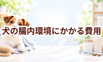 犬の腸内環境にかかる費用はいくら？毎月のケア代を整理