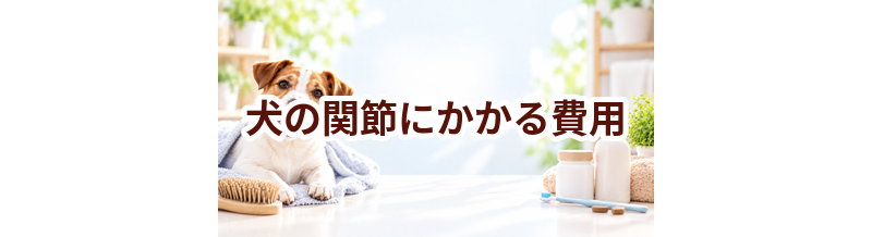 犬の関節にかかる費用はいくら？毎月のケア代を整理