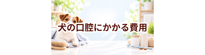 犬の口腔にかかる費用はいくら？毎月のケア代を整理