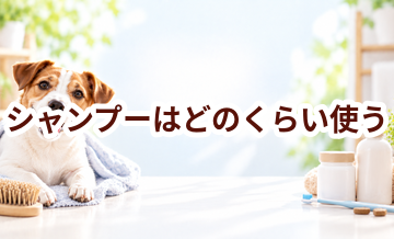 シャンプーはどのくらい使う？頻度・使い方・費用を確認