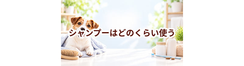 シャンプーはどのくらい使う？頻度・使い方・費用を確認