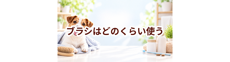 ブラシはどのくらい使う？頻度・使い方・費用を確認