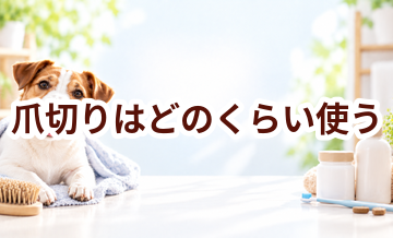 爪切りはどのくらい使う？頻度・使い方・費用を確認