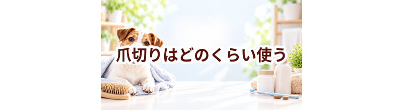 爪切りはどのくらい使う？頻度・使い方・費用を確認