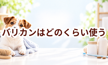 バリカンはどのくらい使う？頻度・使い方・費用を確認