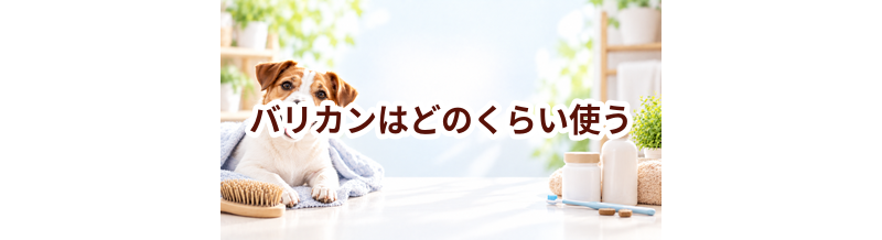 バリカンはどのくらい使う？頻度・使い方・費用を確認