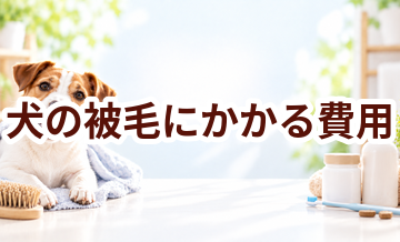 犬の被毛にかかる費用はいくら？毎月のケア代を整理