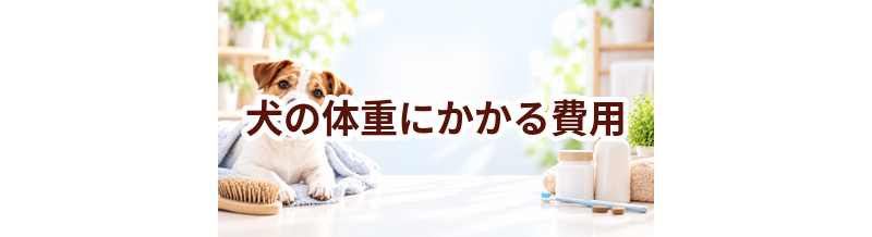 犬の体重にかかる費用はいくら？毎月のケア代を整理
