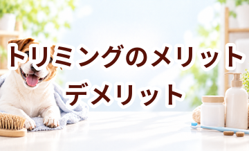 トリミングのメリット・デメリット｜向いている家庭を考える