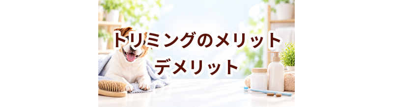 トリミングのメリット・デメリット｜向いている家庭を考える